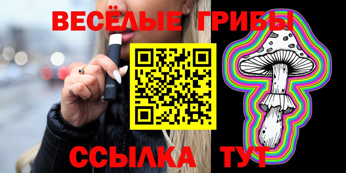 Псилоцибиновые грибы GOLDEN TEACHER  Вход с VPN  Псилоцибиновые грибы мицелий  Балаково 